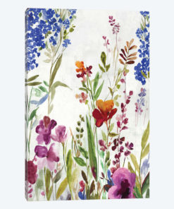 Spring Field