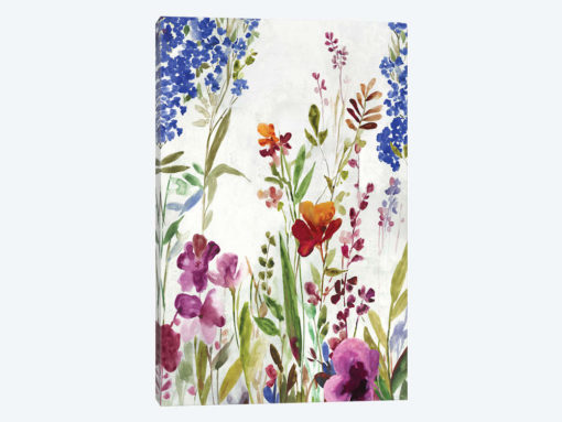 Spring Field