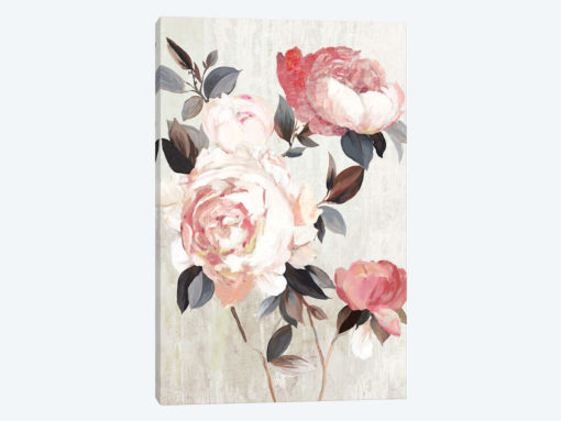 Bloom of Blush