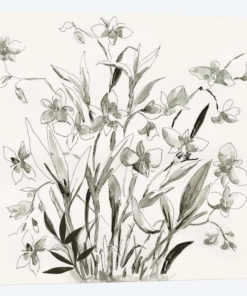 Cherishing Flora