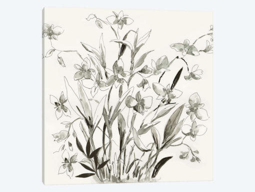 Cherishing Flora