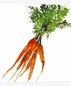 Carrot