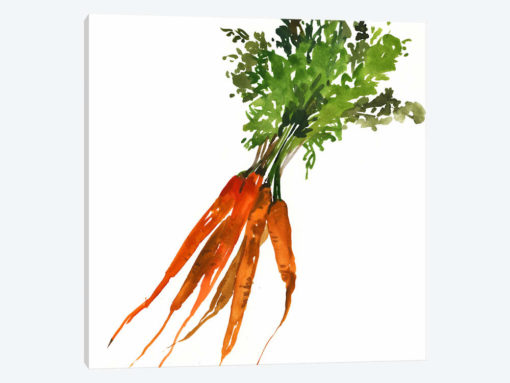 Carrot