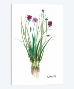 Chives