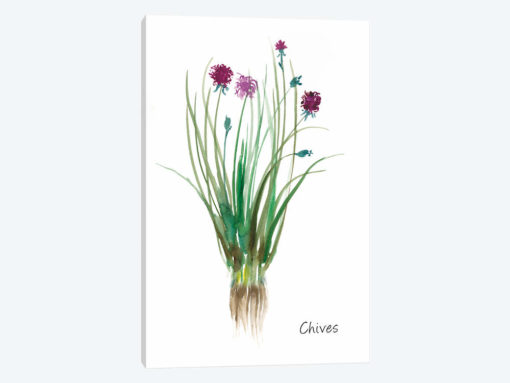 Chives
