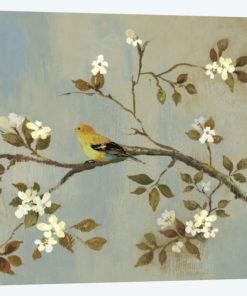 Apple Bloom II