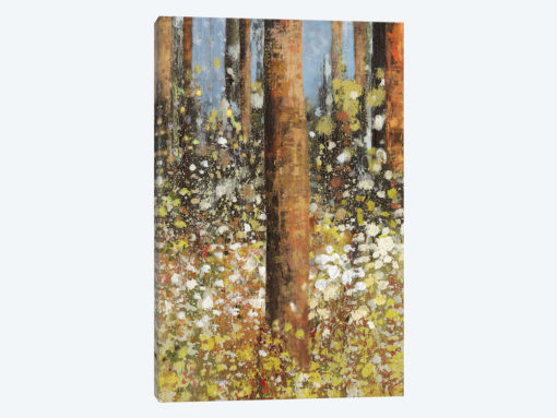 Field Of Flowers II