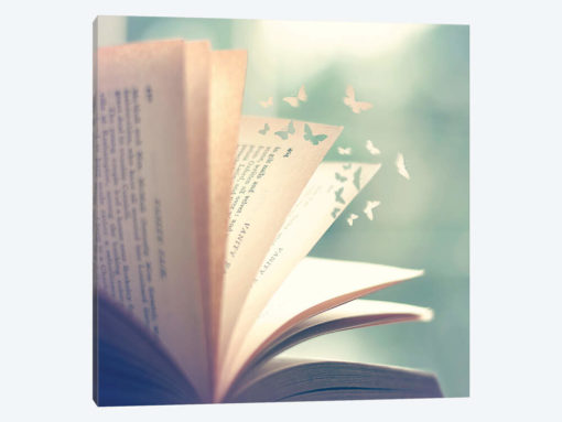 Flying Stories