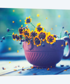 Happy Everyday