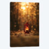 Light Of Autumn
