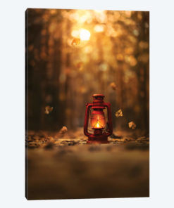 Light Of Autumn