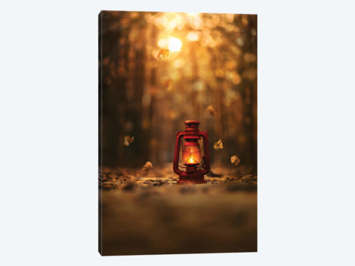 Light Of Autumn