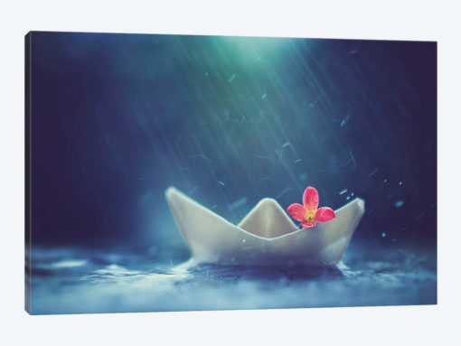 Little Boat And Summer Rain