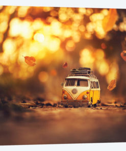 Little Wanderer