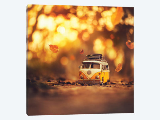 Little Wanderer