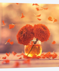 Marigold Days