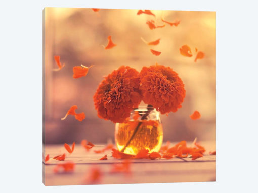 Marigold Days