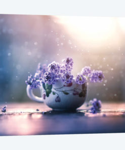 Printemps