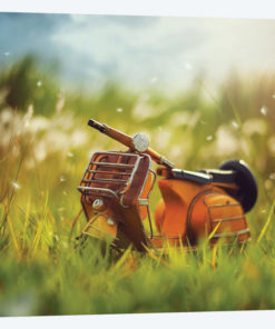 Summer Dreams