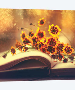 The Sunshine Within