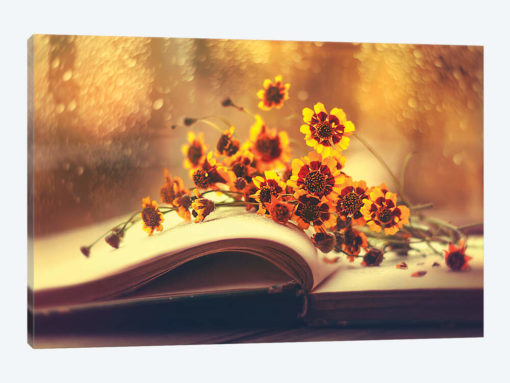 The Sunshine Within