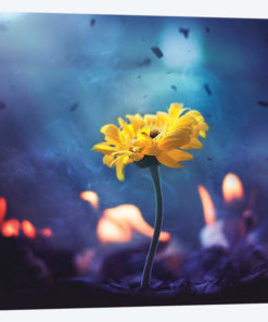 Yet Hope Remains