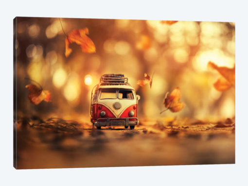 Autumn Journey
