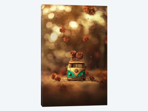 Autumn Treasures