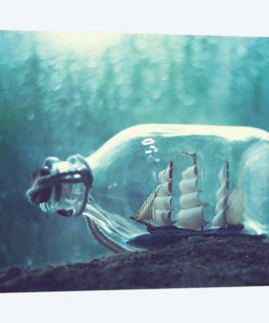 Bottled Dream