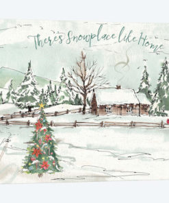 Seasonal Charm X Snowplace