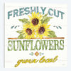 Sunflower Fields III