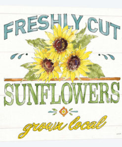 Sunflower Fields III