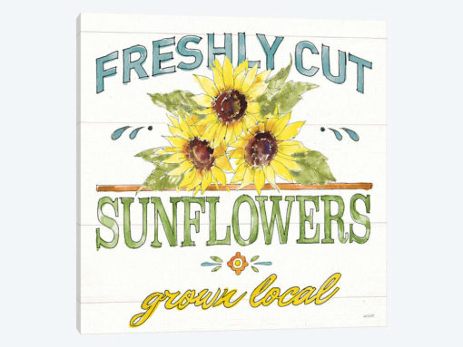 Sunflower Fields III