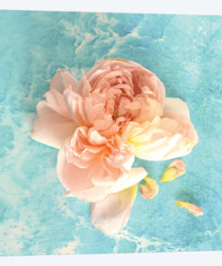 Flower Power
