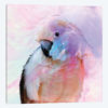Parrot In Blush
