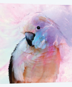 Parrot In Blush