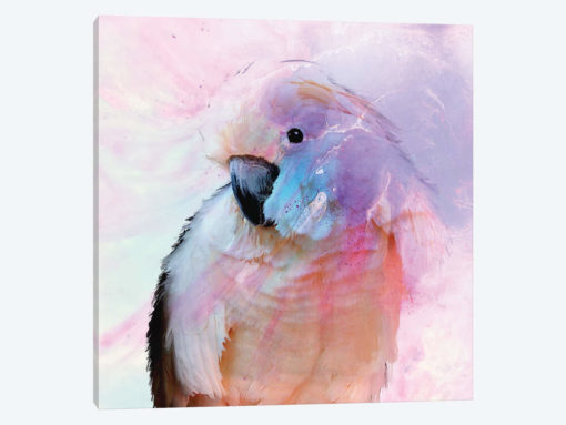 Parrot In Blush