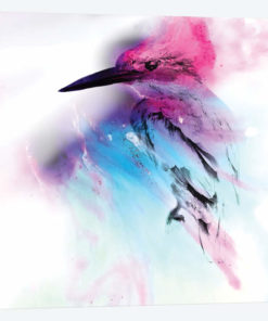 Pink And Blue Birdie
