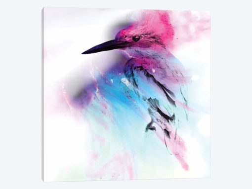 Pink And Blue Birdie