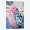 Pink Galah Watercolor