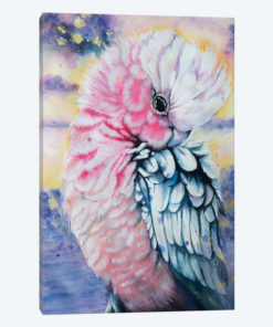 Pink Galah Watercolor