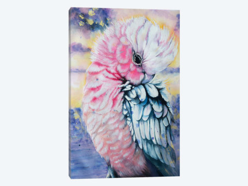 Pink Galah Watercolor