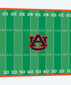 Auburn Tigers Jordan-Hare Stadium Football Field Design
