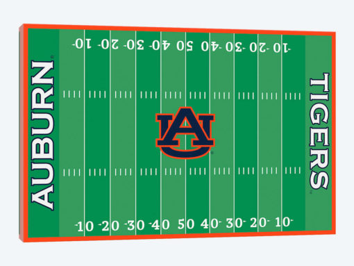 Auburn Tigers Jordan-Hare Stadium Football Field Design