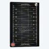 Auburn Tigers Football Playbook