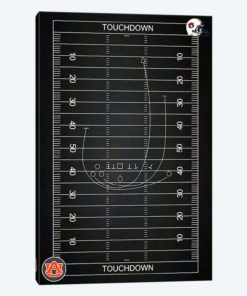 Auburn Tigers Football Playbook