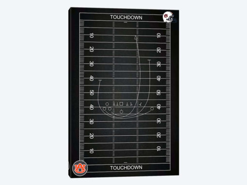 Auburn Tigers Football Playbook
