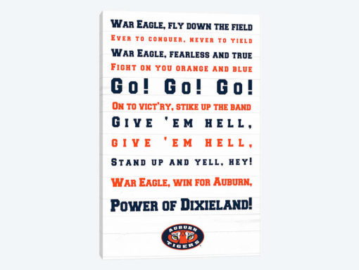 Auburn Tigers Aubie Typography