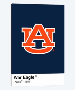 Auburn Tigers Rallying Cry Paint Swatch