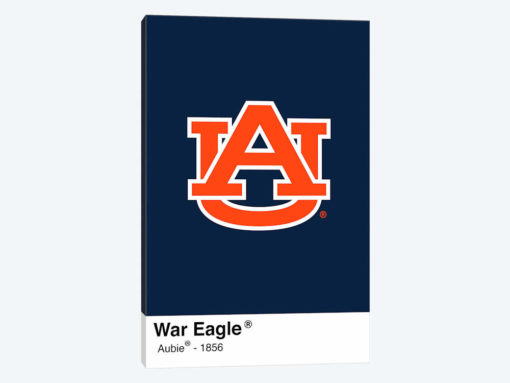 Auburn Tigers Rallying Cry Paint Swatch